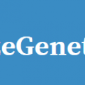 Sizegenetics Extender