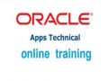 Grab 80% OFF on Oracle Apps R12 Technical Training Videos
