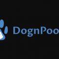 DognPooch. com