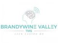 Depression Sufferers Offered Medication-Free Remission At Brandywine Valley TMS
