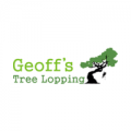 Experienced Tree Lopping Business That Citizens Can Count On