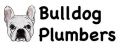 Bulldog Plumbers Fort Lauderdale Launches Redesigned Website