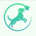 Dog Dynamix Sets the Standard for Puppy Training in Denver