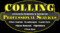 Keep Your Home Pest-Free All Year Round with Colling Professional Services