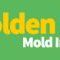 Anti-Mold Unit Launches Same Day Inspection Drive