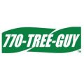 24-Hour Tree Service Partner 770 Tree Guy Offers Numerous Benefits of Professional Tree Services