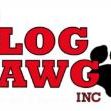 Clog Dawg Plumbing Ramps Up Safety for Clients During COVID-19 Pandemic