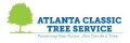 Georgia’s Caring Tree Surgeons Prove They’re a Cut Above The Rest
