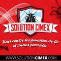Quebec Pest Removal Specialist, Solution Cimex, Delivers Environmentally Responsible Treatment Options