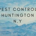 Pest Control Huntngton NY