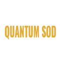 QuantumSod. com
