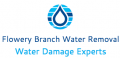 Flowery Branch Water Removal Experts