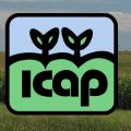 ICAP Crop Insurance