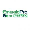 EmeraldPro Painting of South Denver