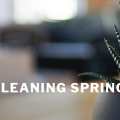 Carpet Cleaning Springfield IL