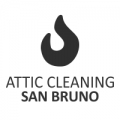 Attic Cleaning San Bruno