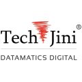 TechJini Inc