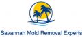 Savannah Mold Removal Experts