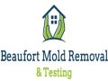Beaufort Mold Removal and Testing