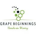 Grape Beginnings Hands on Winery