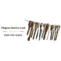 Magnus Sentry Lock