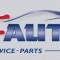 V&F Auto, Inc.