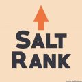 Salt Rank - Digital Marketing Agency in Kansas City