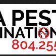 RVA Pest Elimination