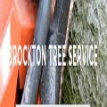 Brockton Tree Co