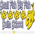 Small Fish Big Fish Swim School