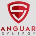 Vanguard Synergy Digital Media Marketing Group