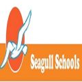 Seagull Schools in Kailua