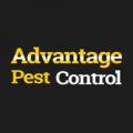 Advantage Pest Control & Termite