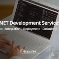 Microsoft . NET Web, Software & Application Development Services