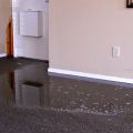 Emergency Water Damage Drying and Cleaning Services