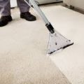 Carpet Cleaner service