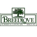 Breedlove Nursery & Landscape