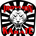 Iron Lion Karate
