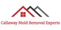 Callaway Mold Removal Experts