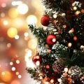 How to Avoid Christmas Tree Fires this Holiday