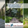 The Family Law Source - Linda I Braithwaite