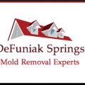 DeFuniak Springs Mold Removal Experts