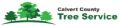 Calvert County Tree Service
