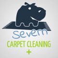 Severn Carpet Cleaning