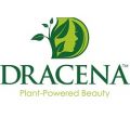 Dracena Plant-Powered Beauty