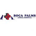 Boca Palms Animal Hospital