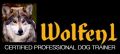 Wolfen1 Dog Training
