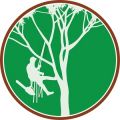 Busy Beaver Tree Services