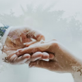 Choosing a Wedding Photographer - What to Pay Attention To