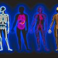 8 Strange Facts About the Human Body